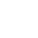 icon-ring